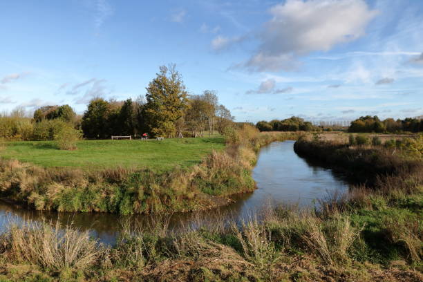 istock Demer at Nieuwland in Aarschot. 1446513578