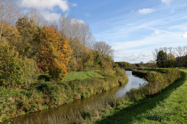 istock Demer at Nieuwland in Aarschot. 1446513610