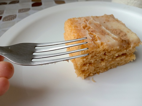 Slice of cake on the plate