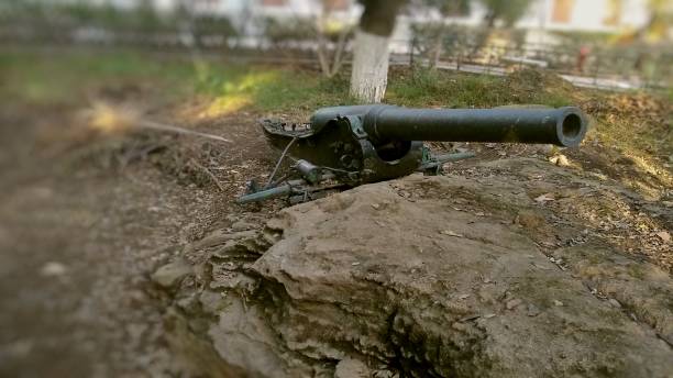 istock An old iron cannon on a rock 1446519003