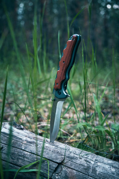 istock Tactical knife for survival and protection difficult conditions stuck into trunk tree in forest. 1446520437