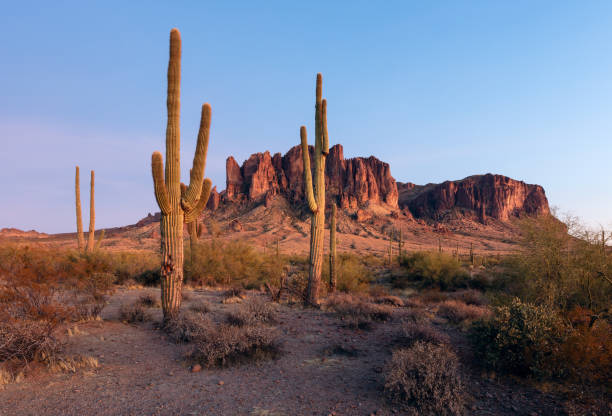 istock Superstition Mountains with cactus in the Arizona desert 1446524862