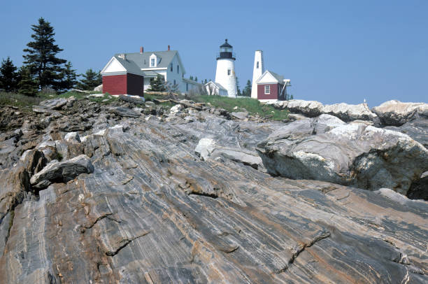 istock Layers of Ancient Exposed Bedrock at Pemaquid Point Light 1446534945
