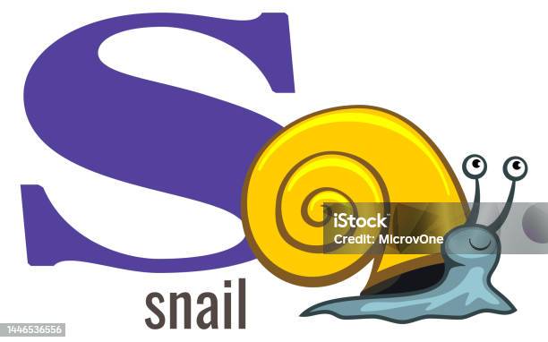 S Word Snail Animal With English Alphabet Letter Isolated On White Stock  Illustration - Download Image Now - iStock