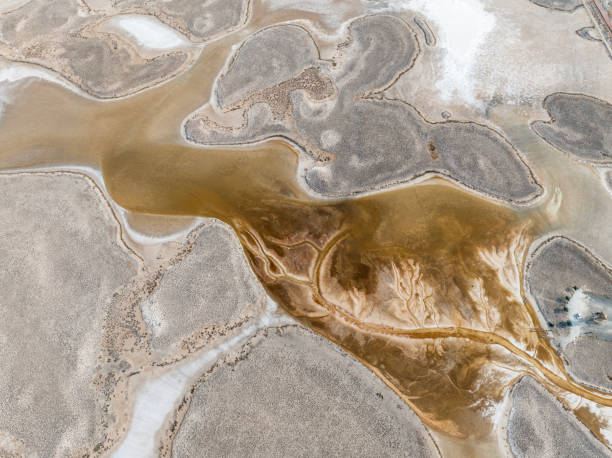 istock Natural shapes and textures on lake 1446536764