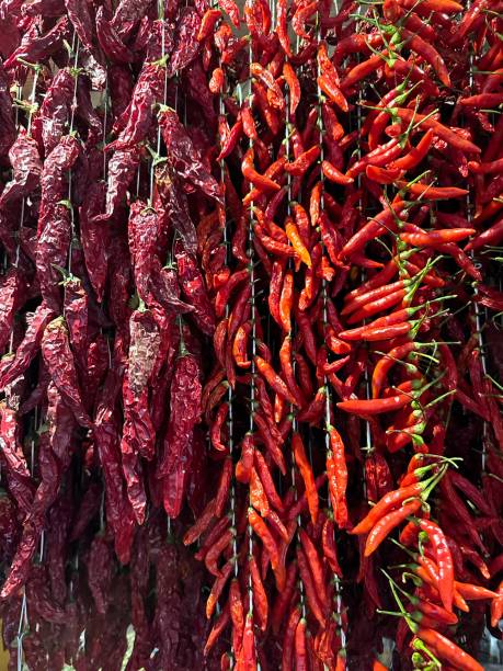 istock Dried peppers and chilies 1446539099
