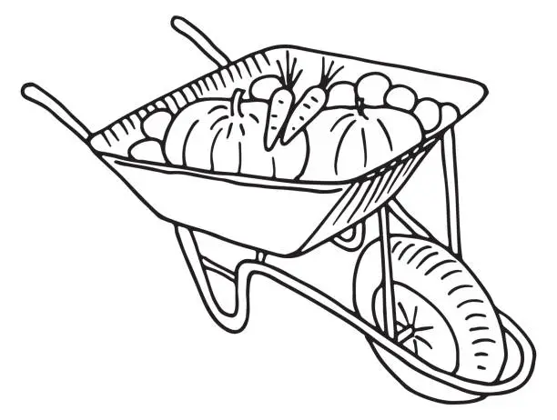 Vector illustration of Wheelbarrow full of pumpkins. Hand drawn harvest icon