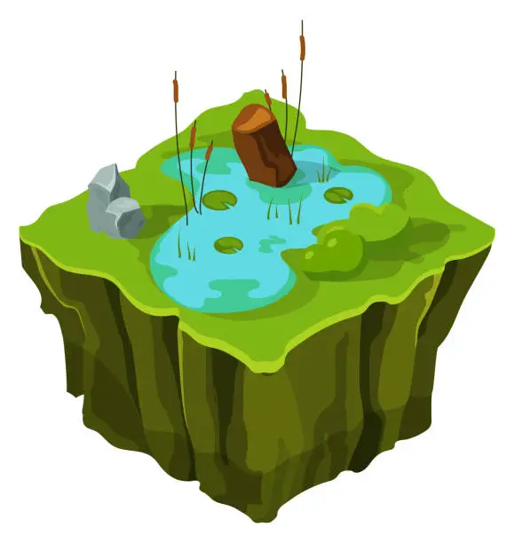 Vector illustration of Isometric terrain. Swamp texture island. Flying land