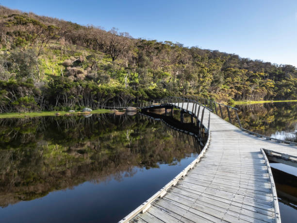 istock Wooden bridge over river 1446541347