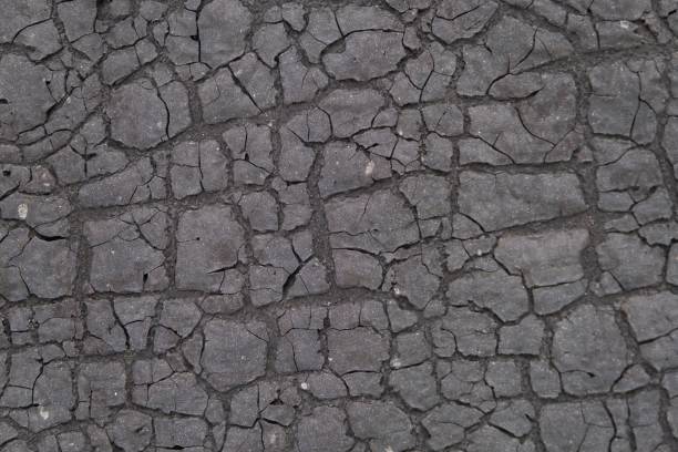 Weathered old dark gray ruberoid texture with numerous cracks and fractures, sun-scorched surface for use as a background