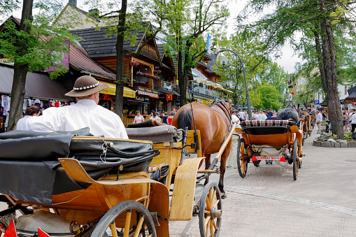 Zakopane, Poland - June 07, 2015: Harnessed horses stands and waits for tourists, at the Krupowki street, the main shopping area and pedestrian promenade in the downtown