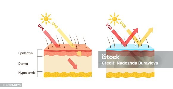 istock UV protection. Sunscreen lotion protect human skin from UVA, UVB ray 1446543098