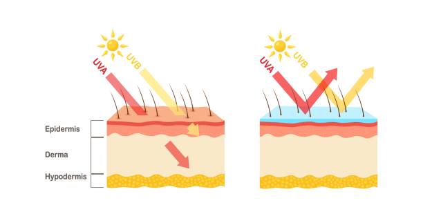 UV protection. Sunscreen lotion protect human skin from UVA, UVB ray vector art illustration