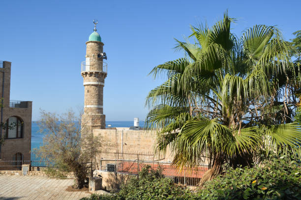 istock Tel Aviv in November. 1446544828