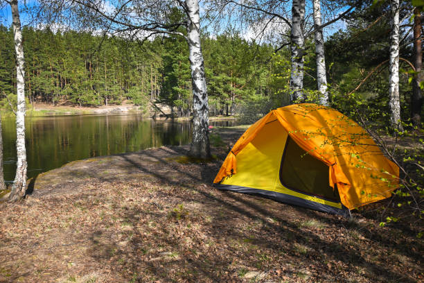 istock A tourist tent in the spring forest. 1446545463