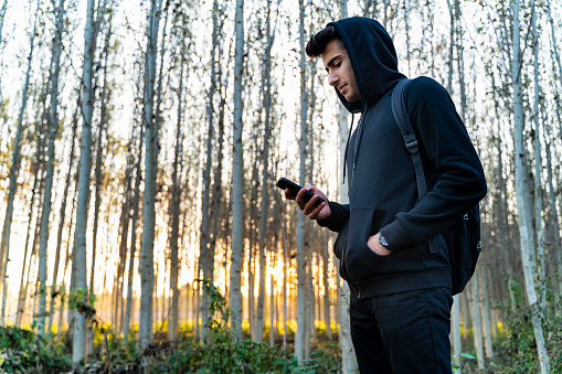 young man walking among poplar trees. Sunlight seeps through the thin-bodied and intergrown poplar trees. Shot with a full-frame camera in daylight.