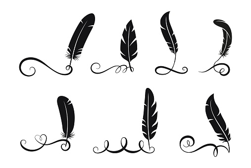 Black feathers written calligraphy elements. Isolated swirls, flourish filigree lines with feather. Vector graphic design, vintage letters tails. Illustration of black quill brush