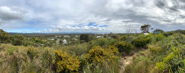 vue panoramique du paysage printanier de byron bay - aborigine grass family australia indigenous culture photos et images de collection