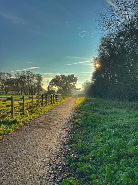 istock Country lane / Stover Canal path, Teigngrace, Devon, England 1446555749