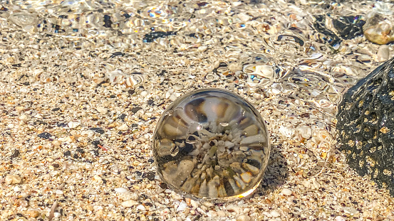 A crystal ball reflects the beauty of Hawaii’s coast. On a bright day the beauty of the tropical climate was very inviting.
