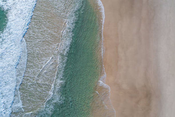 istock Stunning aerial view of a beach with pristine blue water 1446557712