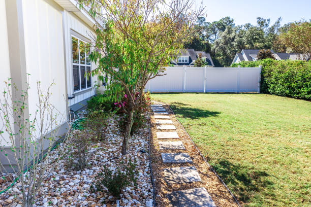 istock A landscaped small side yard of a new construction house with a young tree planted 1446558098