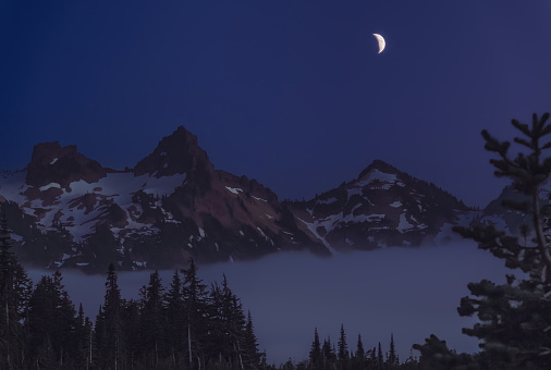 View of fog in rising in the valley in front of mountain range; pine trees in foreground and sky with bright moon in background