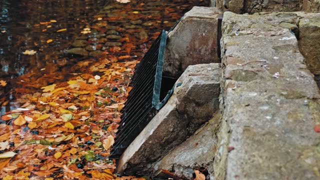 Yellow Withered Autumn Tree Leaves Clogging Metal Grating Securing Outlet of Water Reservoir