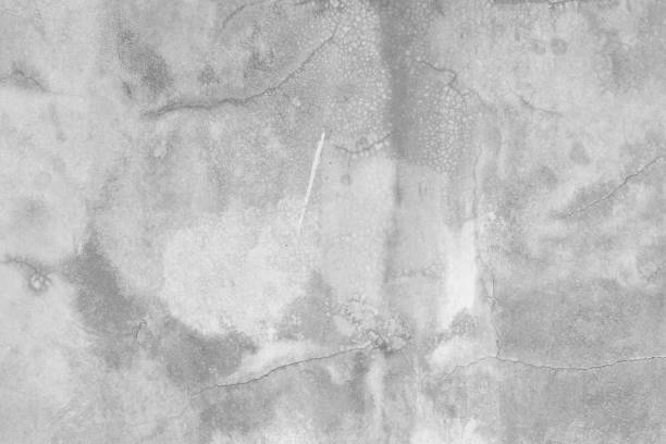 istock Old wall texture cement dirty gray with black  background abstract grey and silver color design are light with white background. 1446564789