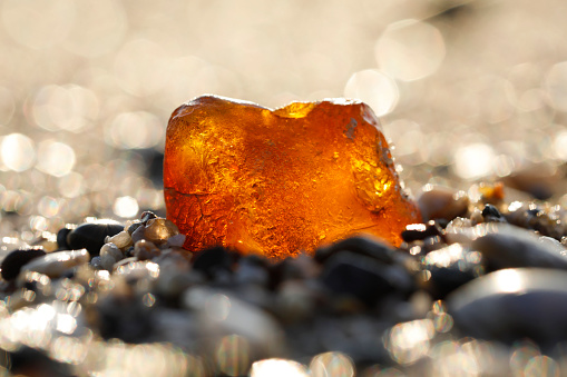 A glittering piece of amber or fossilized tree resin, washed ashore on a sandy beach in The Netherlands