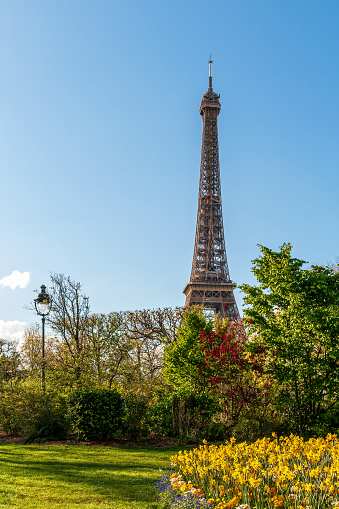 Champ de Mars park, with flowerbed, at the foot of Eiffel Tower. Paris in France