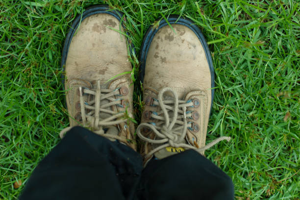 istock Person's foot wearing brown safety boots 1446573030
