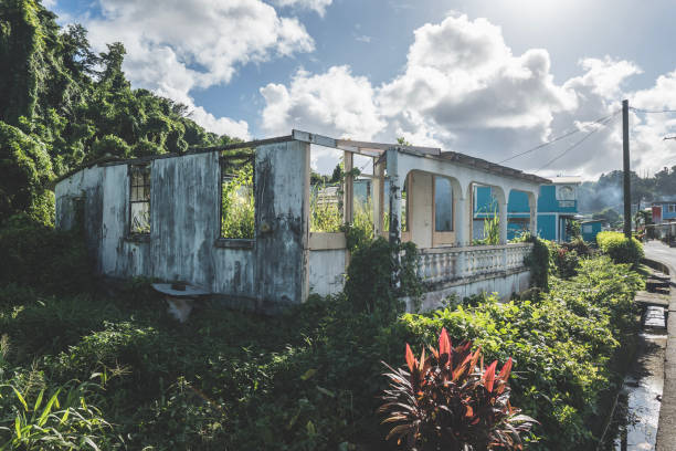 istock Ruined and destroyed building with overgrown plants around. Frame, columns and wall left from an old house 1446573138