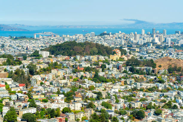 istock city skyline with trees and hillsides with ocean 1446575402