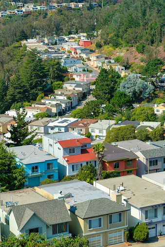 sprawling colorful neighborhood in suburban san francisco california midday in sun lined with trees and foliage in city