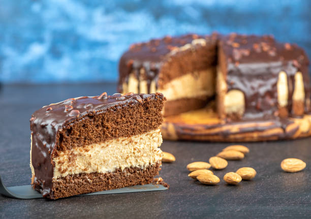 istock Selective focus on a piece of chocolate biscuit cake on a culinary spatula. 1446578378