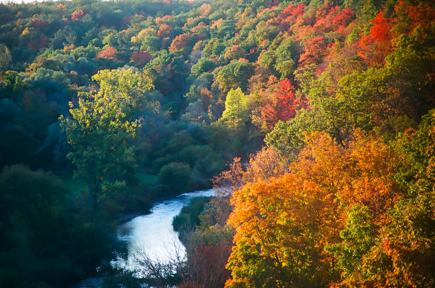 istock A colorful Valley during Autumn at sunset 1446582914