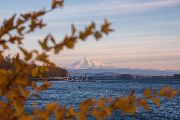 istock Mt Hood, Oregon, over Columbia River 1446582925