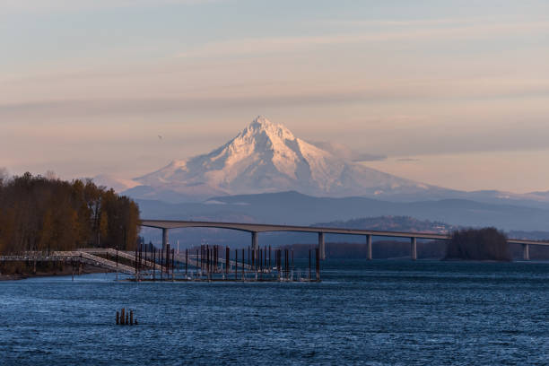 Mt Hood over the Columbia River Mt Hood, Oregon, over the Columbia River at winter sunset mt hood stock pictures, royalty-free photos & images