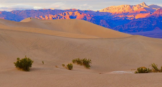 Mesquite San dunes, Death Valley National Park