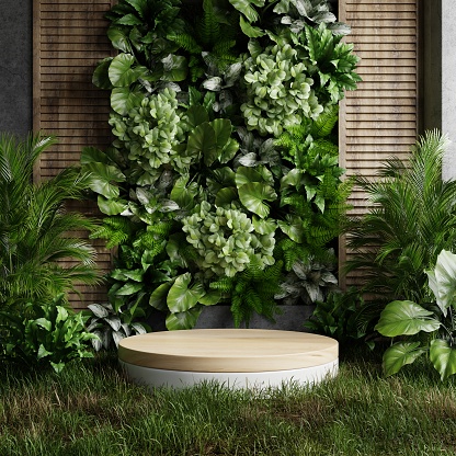 Wooden podium in concrete room and plants wall background.3d rendering