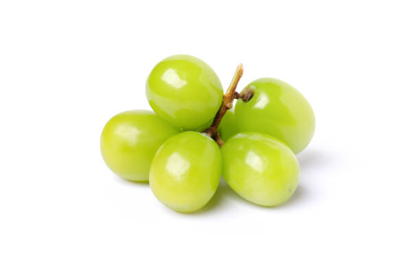 グリーングレープ白で分離 - grape white grape green muscat grape ストックフォトと画像