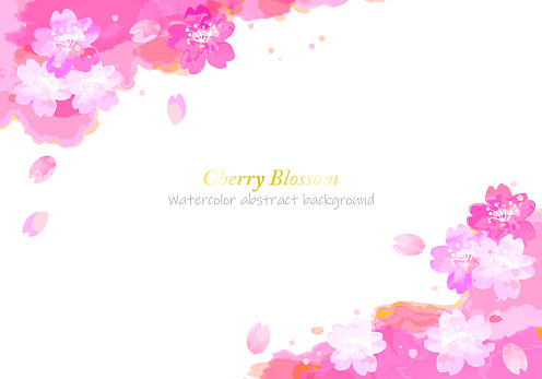 watercolor cherry blossom and abstract pink background, vector