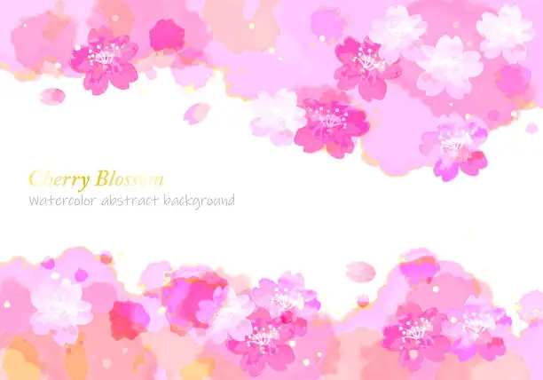 Vector illustration of watercolor cherry blossom and abstract pink background, vector