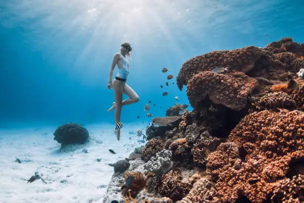 Freediver lady in bikini glides underwater near coral reef with tropical fish in blue transparent ocean