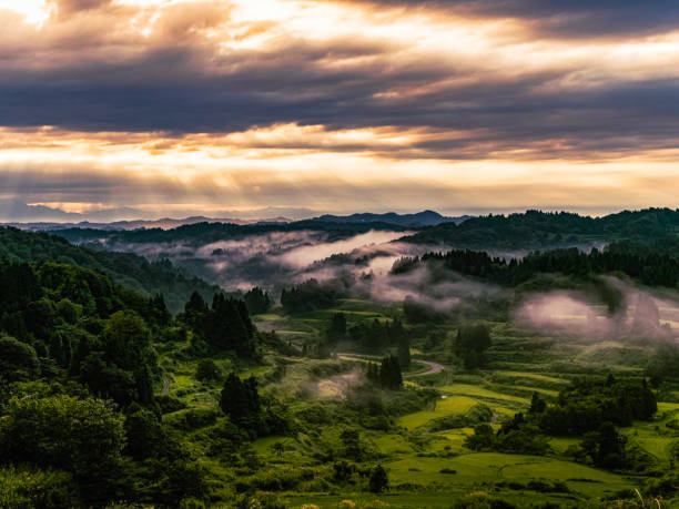 Landscape Pixel Burning 