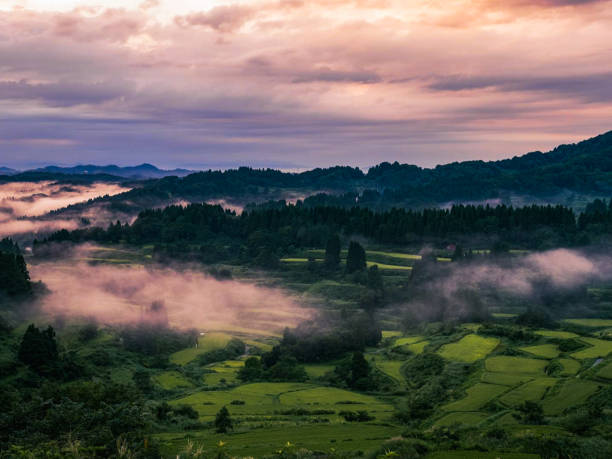 istock Landscape Pixel Burning 
