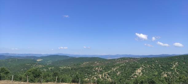 istock Panoramic view of green forested hills under a blue sky 1446616393