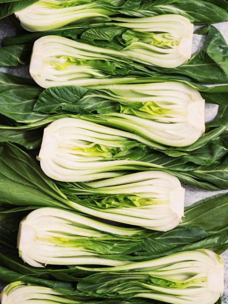 disparo vertical de bok choys formando patrón - bok choy fotografías e imágenes de stock