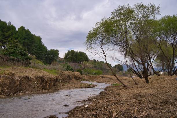 istock River Argos and trees with a forest and a hill in the background against a cloudy sky 1446617109